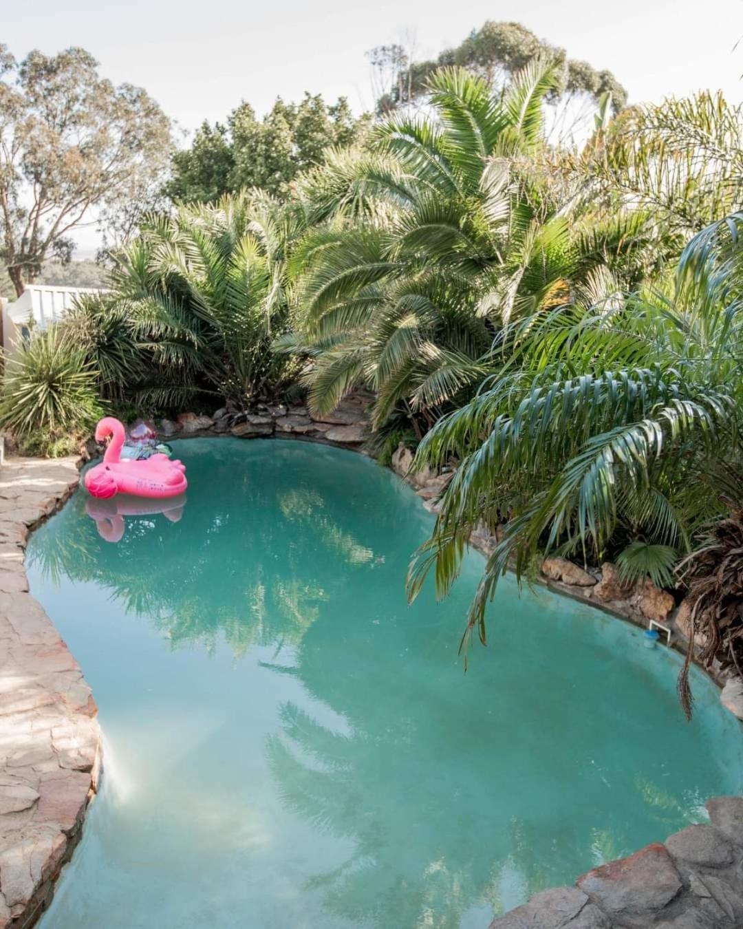 Thyme Wellness Spa And Guesthouse كيب تاون المظهر الخارجي الصورة